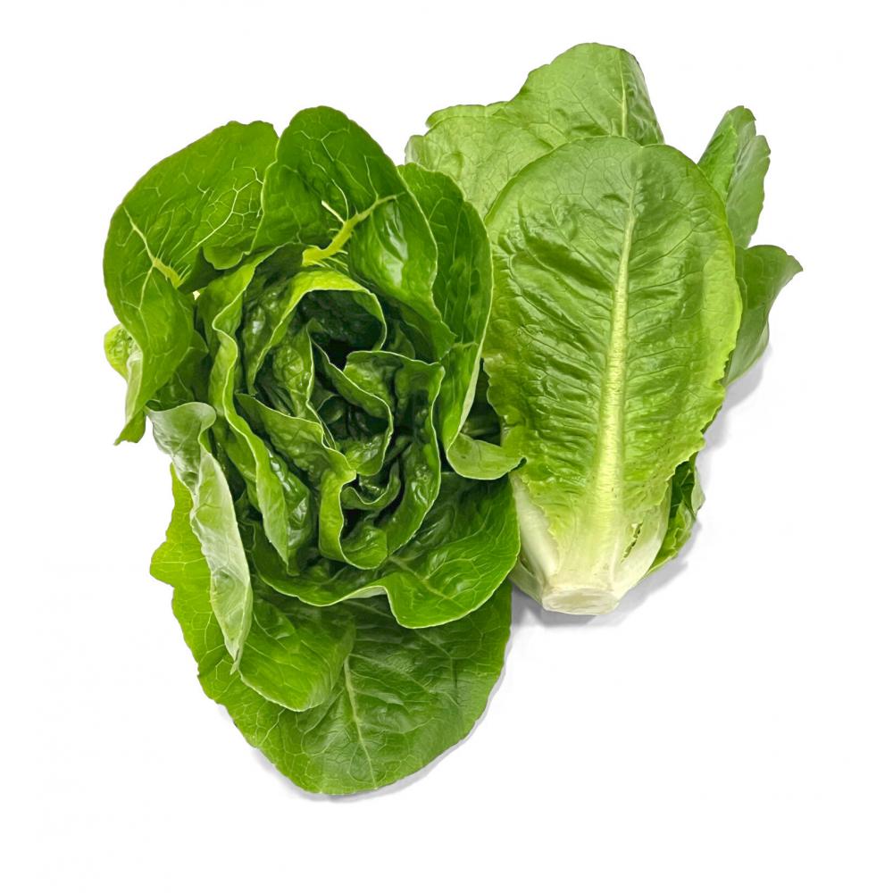 Produktabbildung keine Marke Mini-Romana-Salat, 2er-Beutel