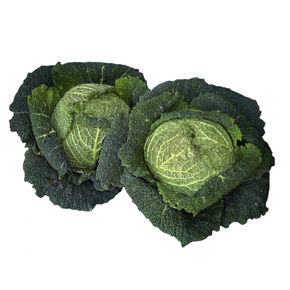 Produktabbildung keine Marke Wirsing, 1 kg