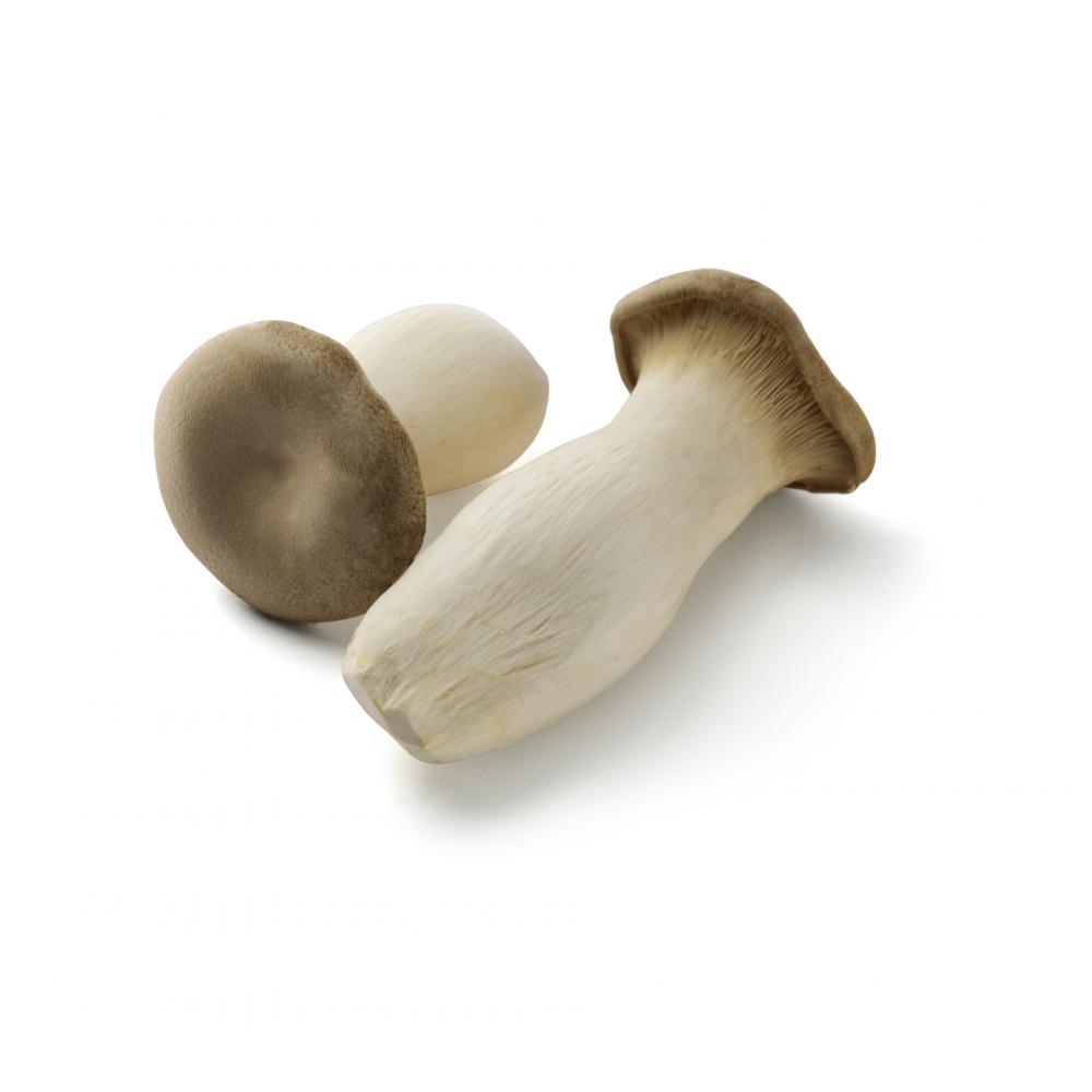 Produktabbildung keine Marke Kräuterseitlinge, 200 g-Schale