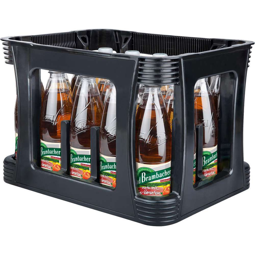 Produktabbildung Bad Brambacher Naturell Tee-Variation (20x 0,500 Liter)