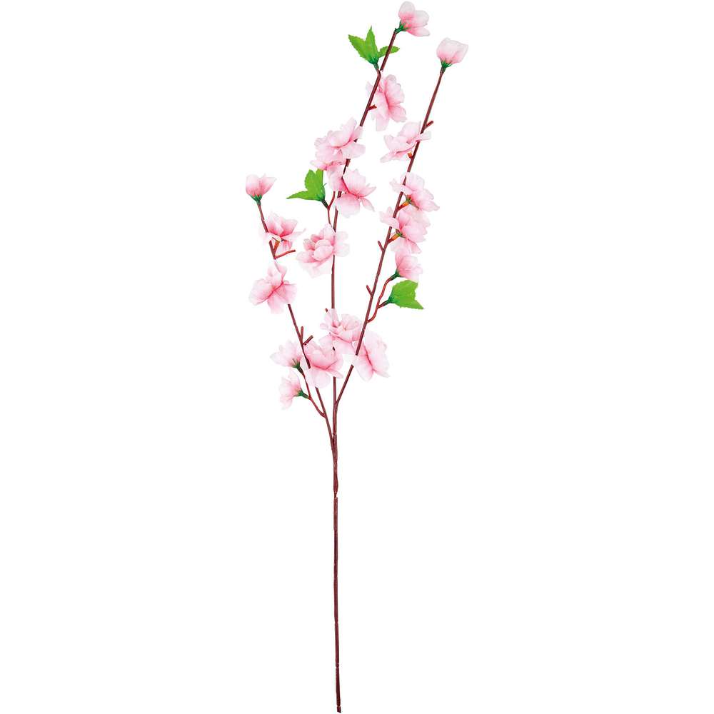 Produktabbildung keine Marke Kirsch-/Apfelblütenzweig 