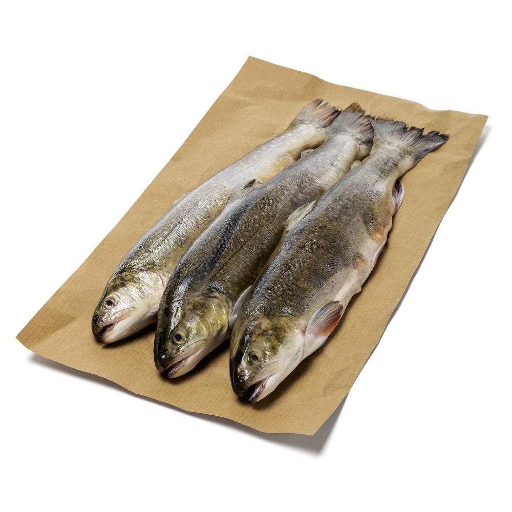 Produktabbildung keine Marke Saibling, 100 g