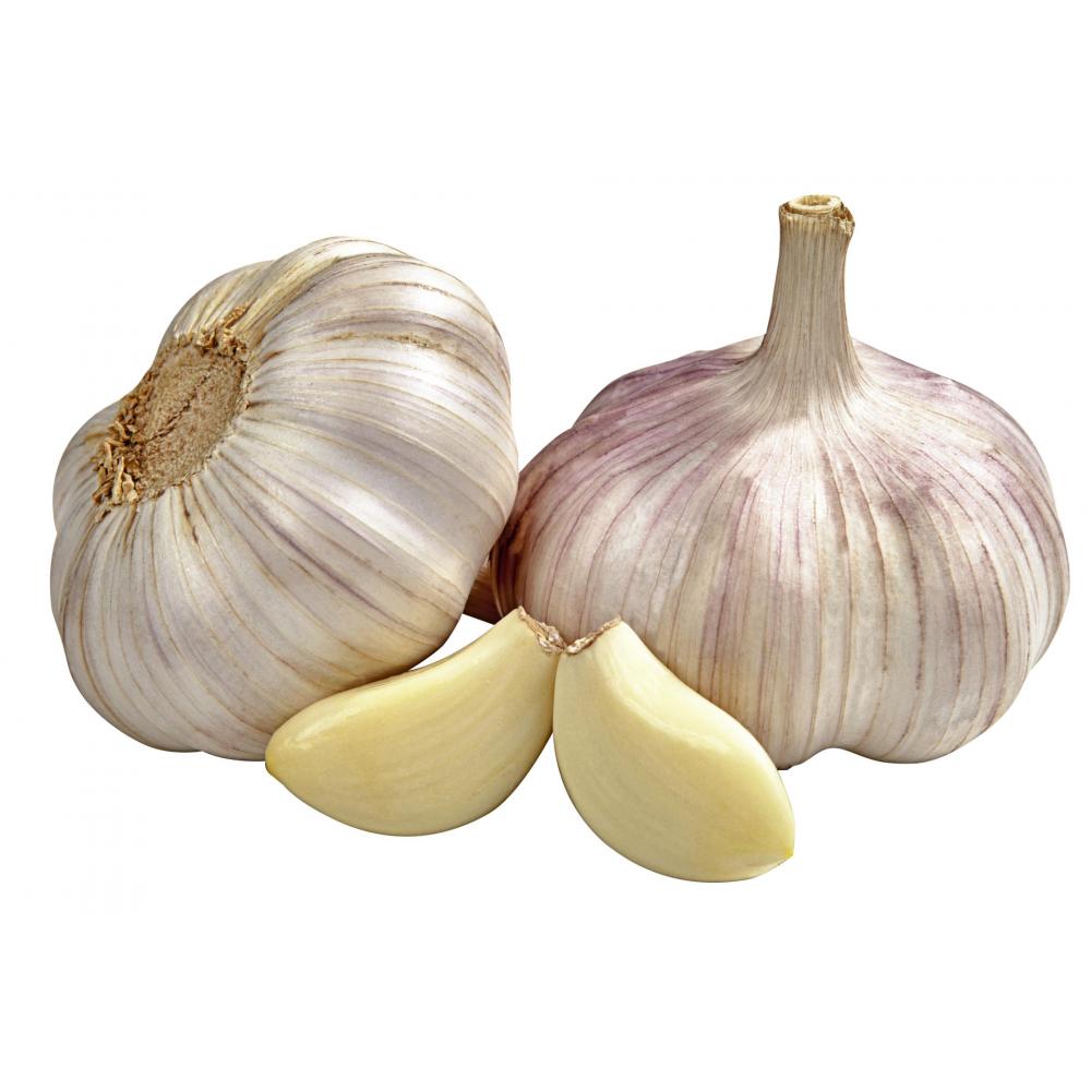 Produktabbildung keine Marke Bio Knoblauch, je 100 g-Netz