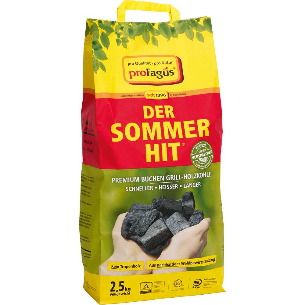 Produktabbildung proFagus Grill-Holzkohle Der Sommer-Hit, 2,5kg