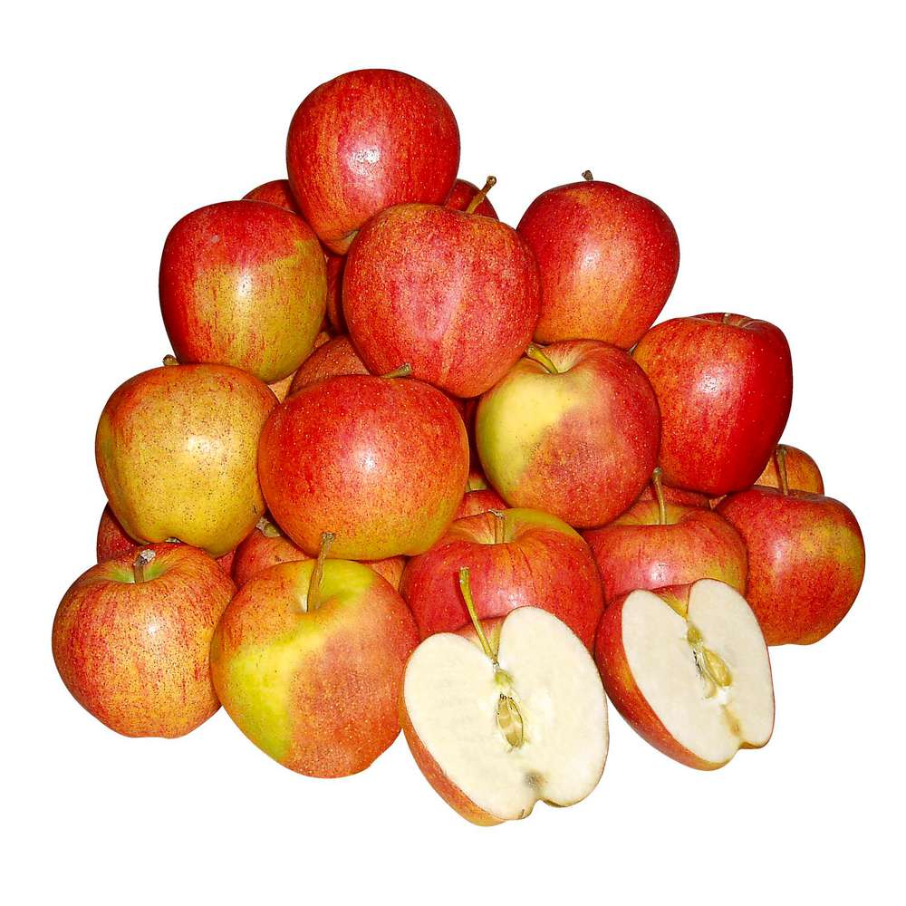 Produktabbildung GLOBUS Regional Apfel Elstar, Beutel