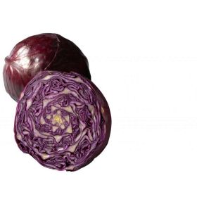 Bio Rotkohl