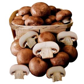 Champignons braun, Schale