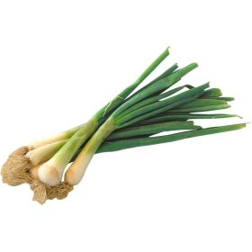 Link zu  Bio Lauchzwiebeln, Bund