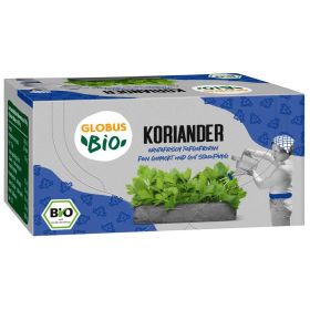 Bio Koriander, tiefgekühlt