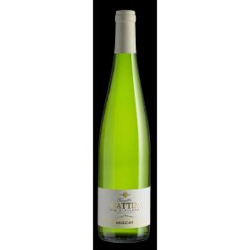 Link zu  Muscat Alsace trocken, Weißwein