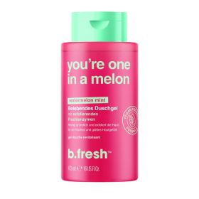 Link zu  Duschgel b.fresh