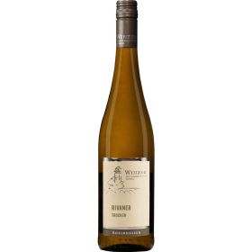 Link zu  Rivaner trocken Wöllsteiner Rheingrafenstein, Weißwein