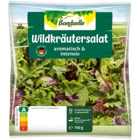 Wildkräutersalat