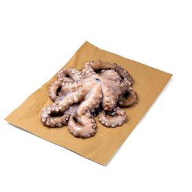 Pulpo