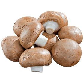 Bio Champignons braun, Schale