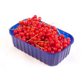 Johannisbeeren rot, Schale