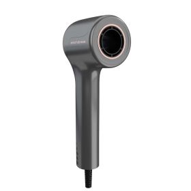 Link zu  Haartrockner Invictus D7, grau