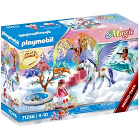 71246 Picknick mit Pegasuskutsche