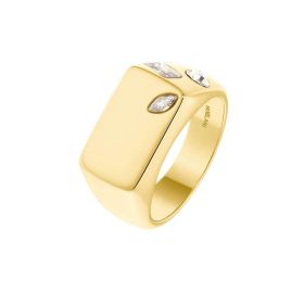 Link zu  Siegelring aus Silber 925 mit Zirkonia