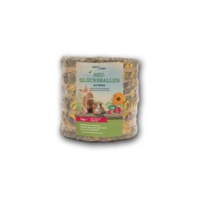 Heu-Glücksballen 1kg, Natur