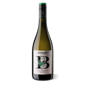 Link zu  Sauvignon Blanc Weißwein Bundschuh