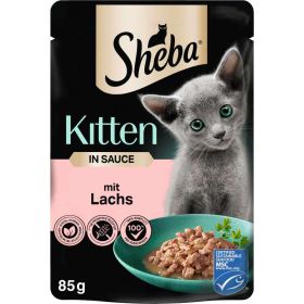 Katzen Nassfutter Kitten mit Lachs