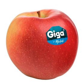 Tafelapfel Giga