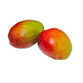 Mango 2er Schale