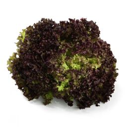 Link zu  Bunte Salate:, je Stück