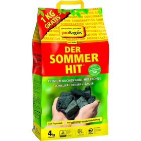 Link zu  Grill-Holzkohle Der Sommer-Hit