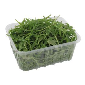 Bio Demeter Rucola