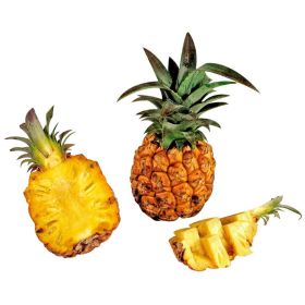 Mini Ananas