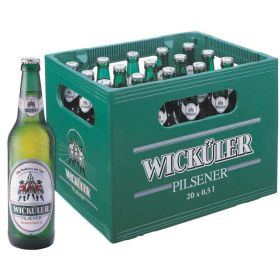 Pilsener Bier, 4,9 % (20x 0,500 Liter)