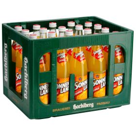 Orangen Limonade (20x 0,500 Liter)