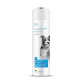 Link zu  Hunde-Shampoo, Insektenabwehr