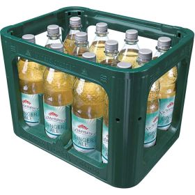 Ginger Ale (12x 1,000 Liter)