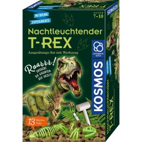 Mitbringexperiment, Nachtleuchtender T-REX