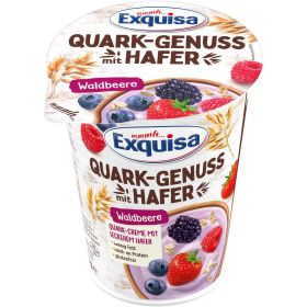 Quark-Genuss mit Hafer, Waldbeere