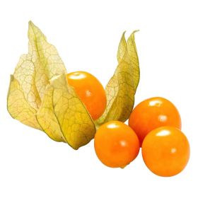 Physalis, Schale