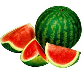 Link zu  Wassermelone Fashion rot, lose
