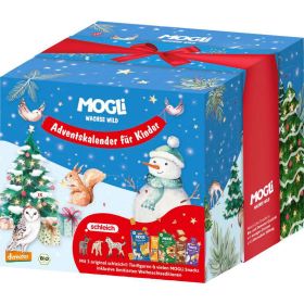 Adventskalender für Kinder