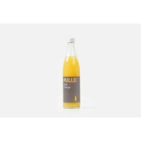 Link zu  Bio-Orangenlimonade