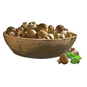 Bio Champignons braun, 250 g-Schale