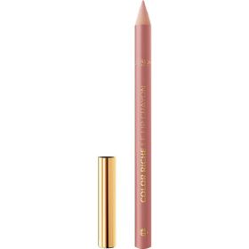 Lipliner Color Riche 570 Worth It Intense