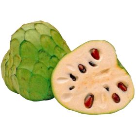 Cherimoya